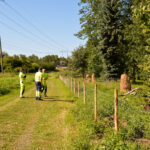 Taimistoalueen aitauksen rakentamisesta vastasi Wihertoimi.