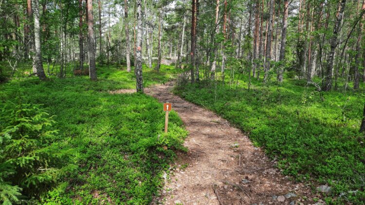 Kokkovuori walking path.