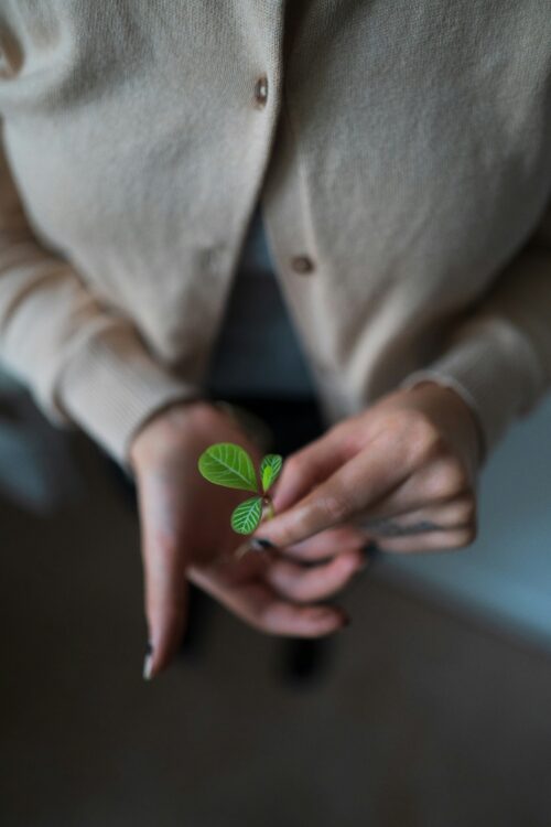 Holding a plant.
