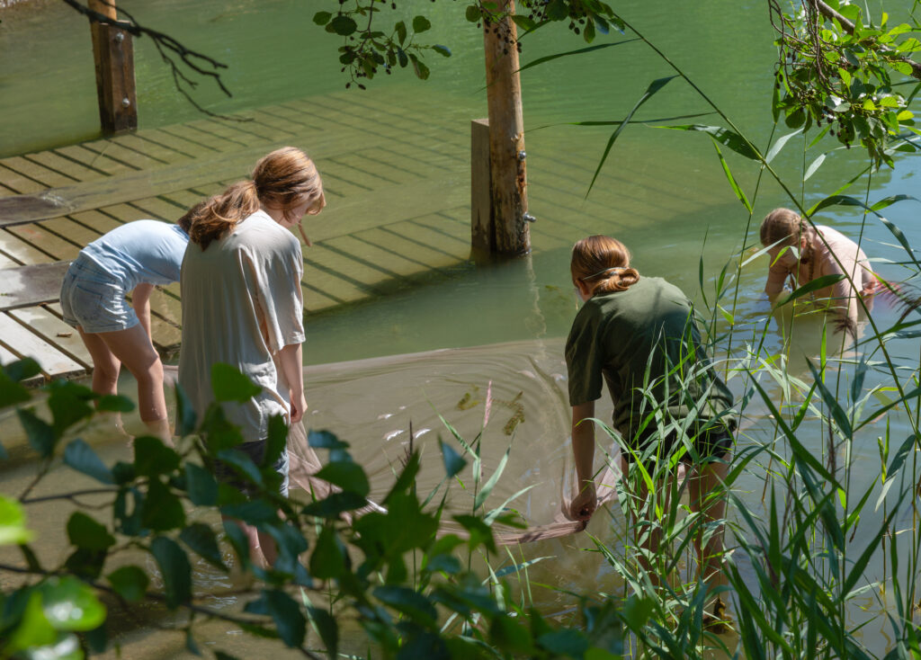 Maija Annikki Savolainen, Verkko.