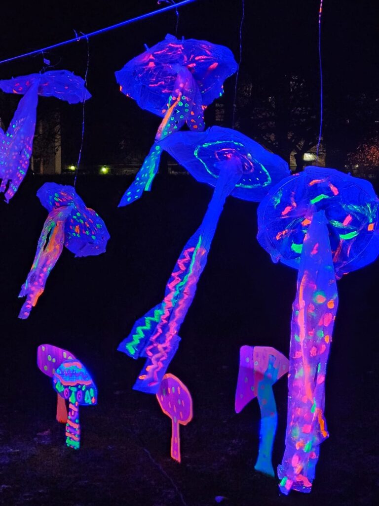 Paperimeduusoja, joissa hohtavia raitoja.