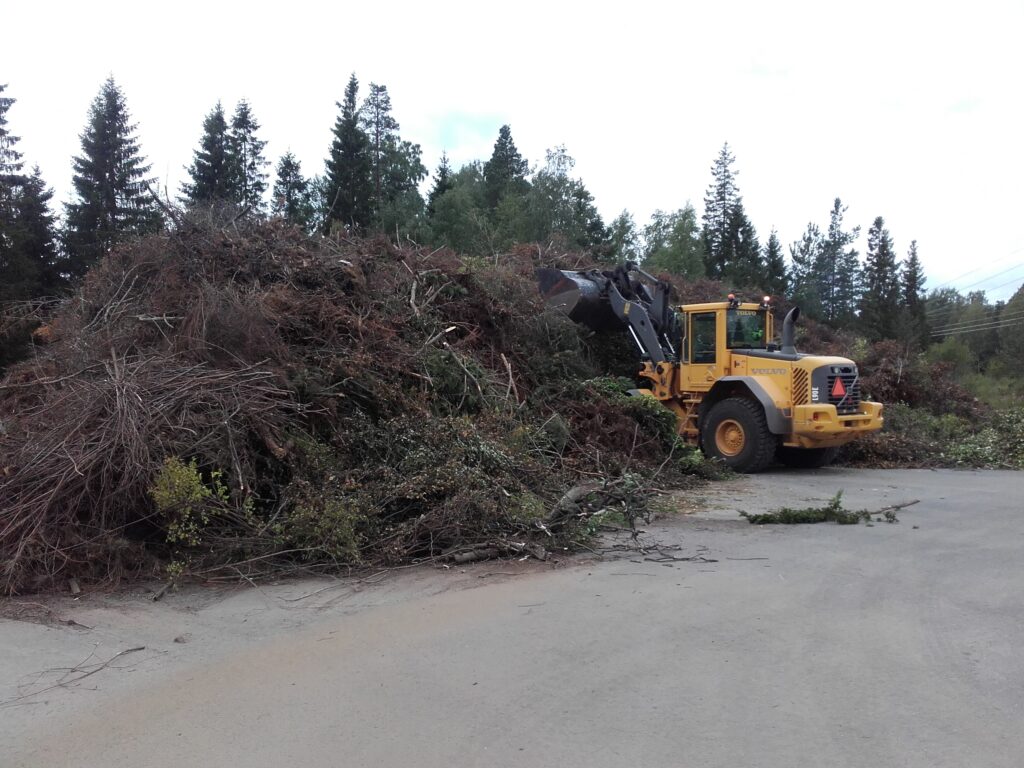 Työkone nostelemassa risuja.