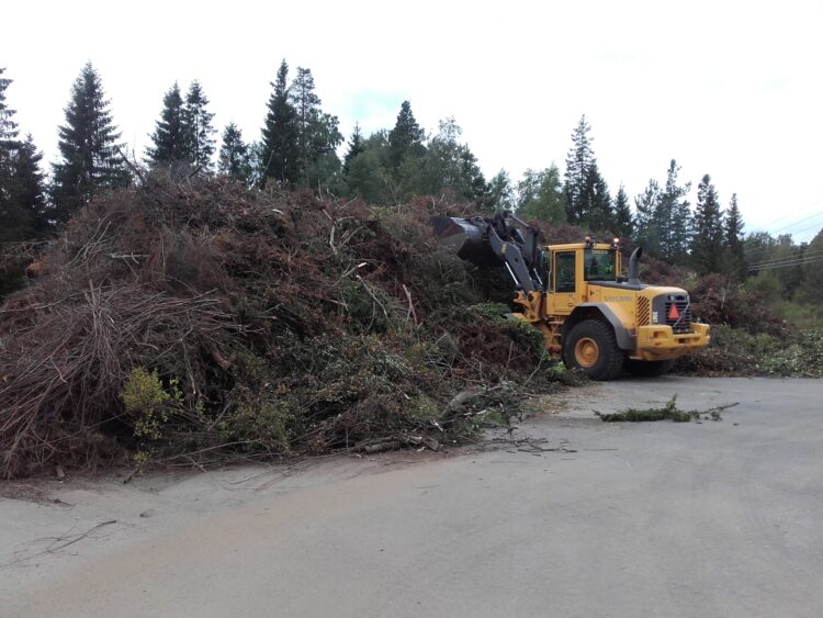 Työkone nostelemassa risuja.